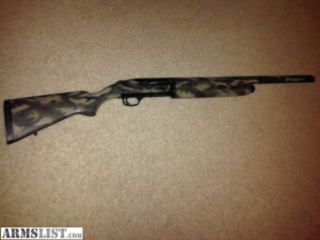 Auto model review gauge