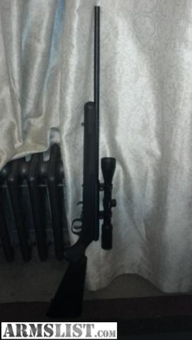 ARMSLIST - For Sale: Savage 17HMR with accutrigger
