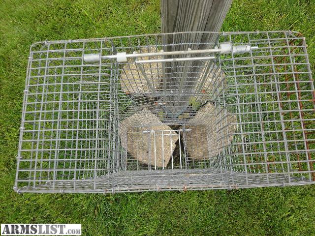 ARMSLIST For Sale Pigeon Trap bird Holder