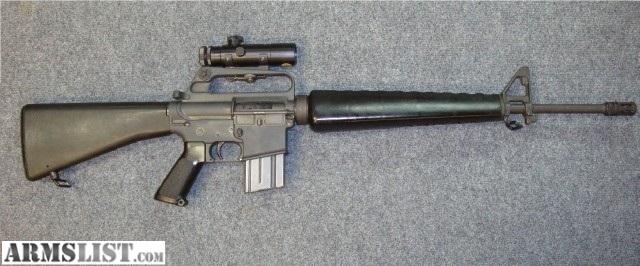 Colt