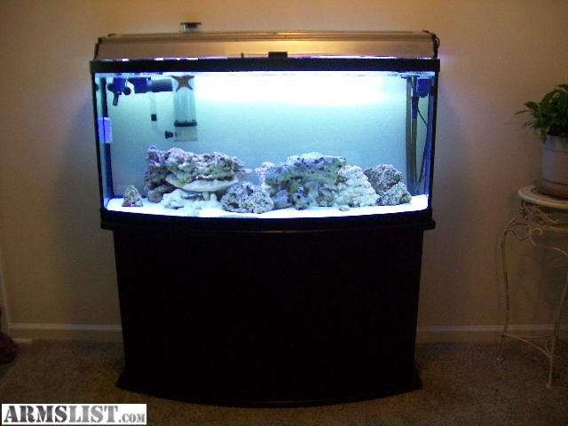 75+Gallon+Bow+Front+Aquarium ARMSLIST - For Trade: 75gal Bow Front Saltwater Complete Setup