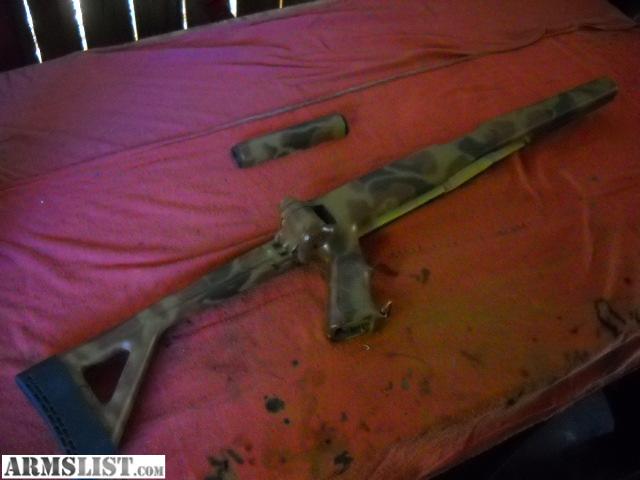 painted sks