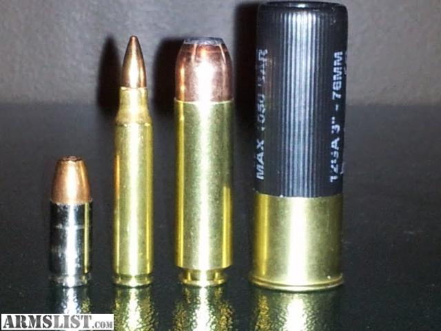 the one next to the shotgun shell. you forgot the 50 cal Beowolf. 