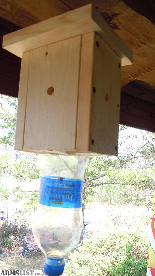 carpenter bee traps