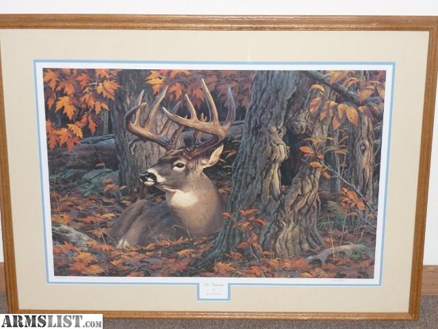 Deer Edition Limited Print Whitetail