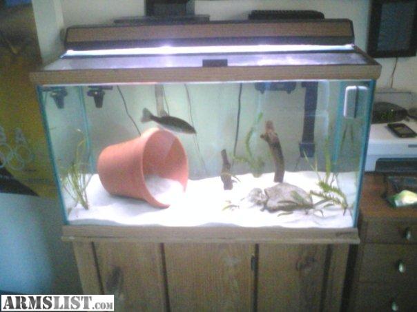 ARMSLIST - For Sale/Trade: 58 Gallon Oceanic Fish Tank With Stand